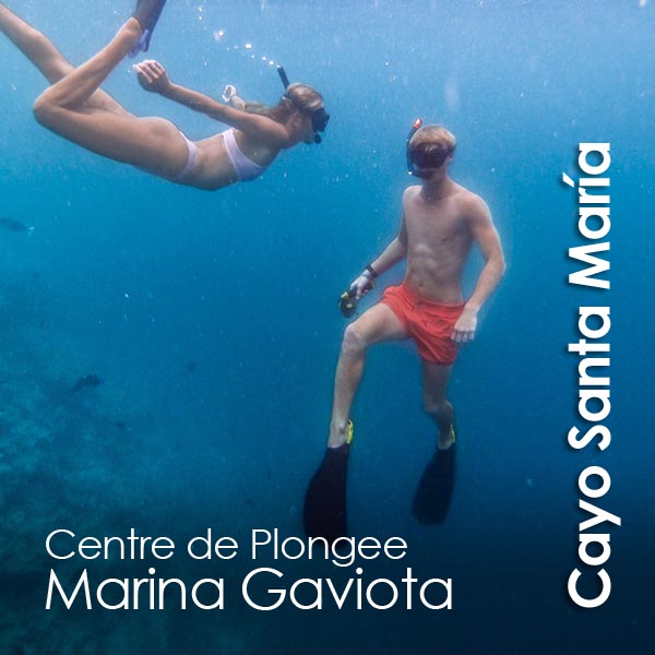 Cayo Santa Maria - Centre de Plongee Marina Gaviota