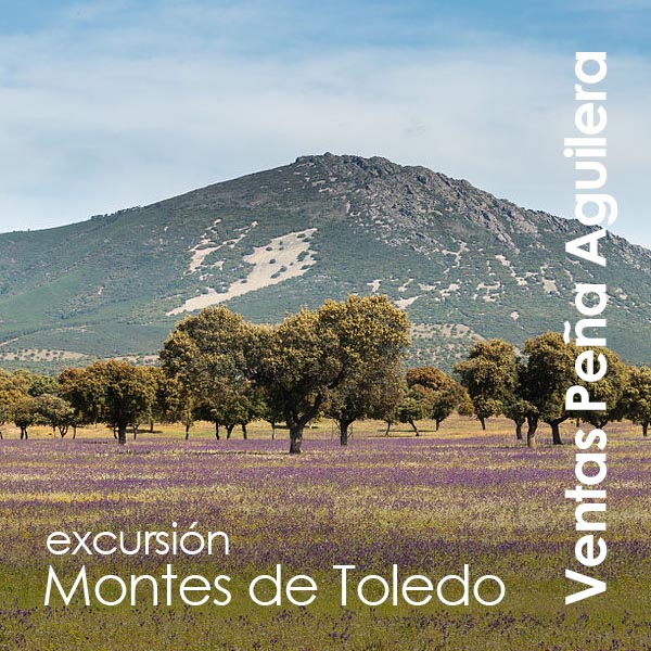 Ventas Peña Aguilera - Excursión Montes de Toledo