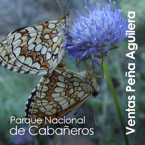 Ventas Peña Aguilera - Parque Nacional de Cabañeros (2)