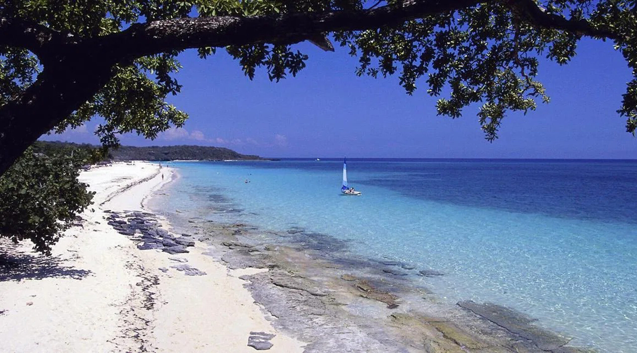 Guardalavaca Maxicuba